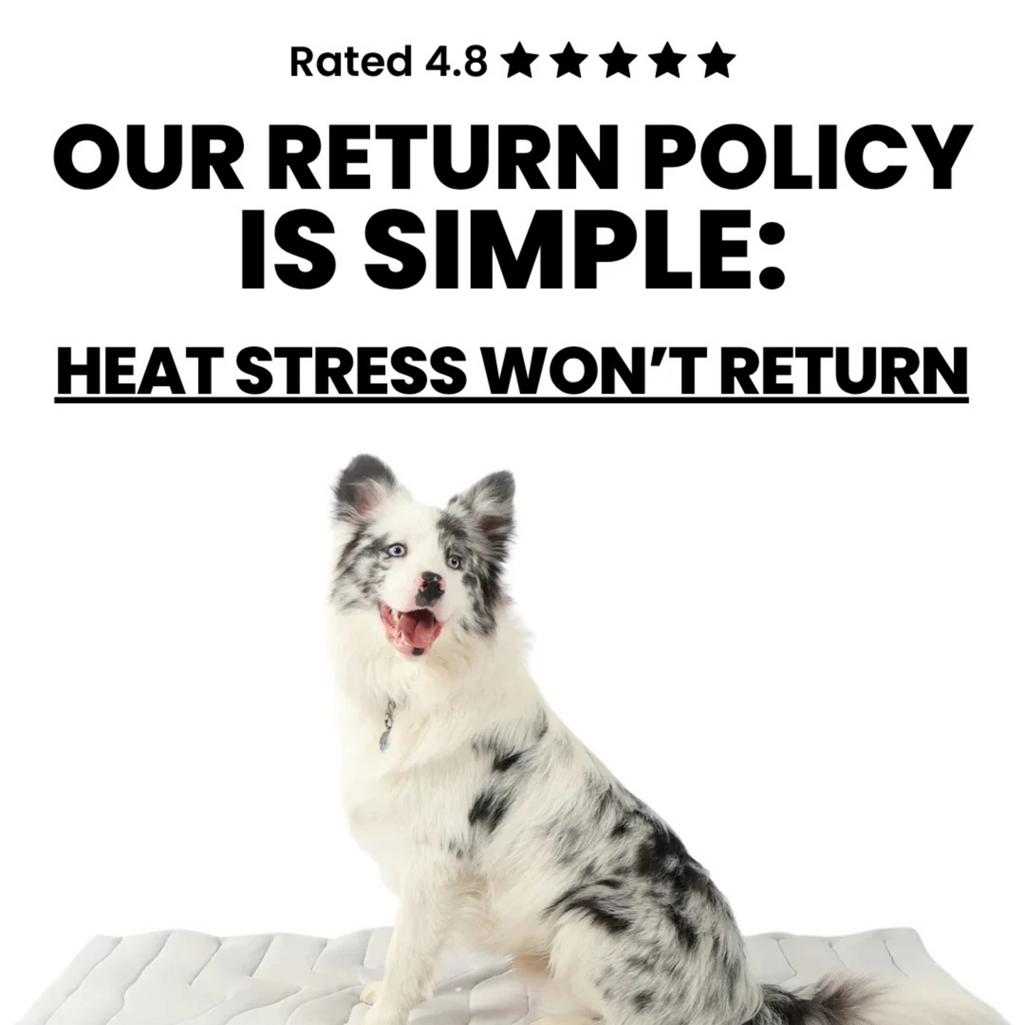 Self Cooling Pet Mat