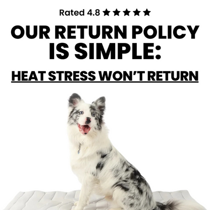 Dog Cooling Mat